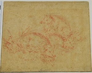 Image description is not available for DU1975.12